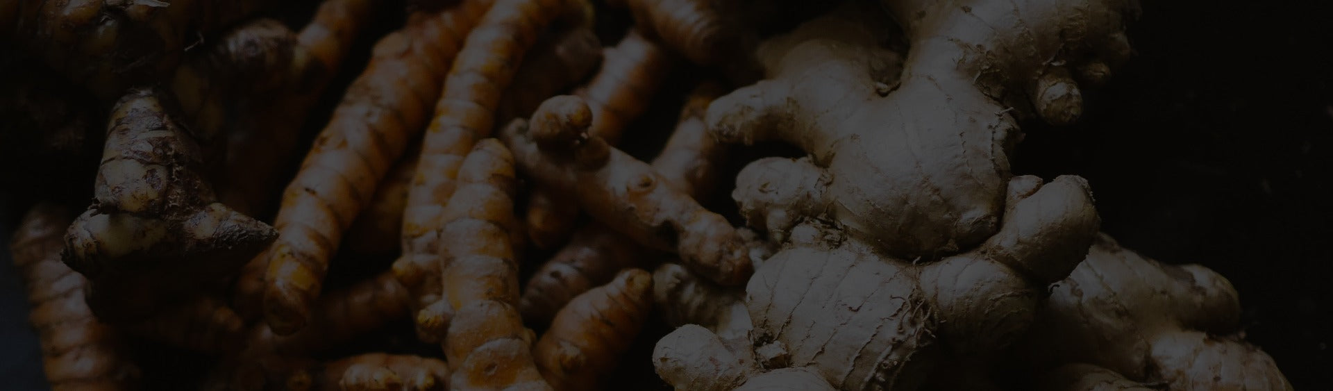 Herbal Support for Immunity and Respiratory Health | NINMA – NINMA