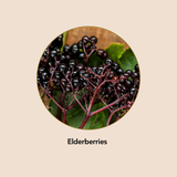 Elderberry Syrup
