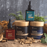 Burnout Recovery Bundle