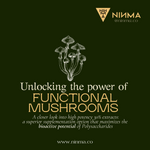 Super Five Functional Mushrooms