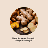 Triple Rhizome Tonic