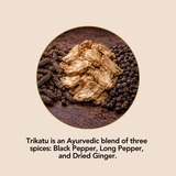 Triple Rhizome Tonic