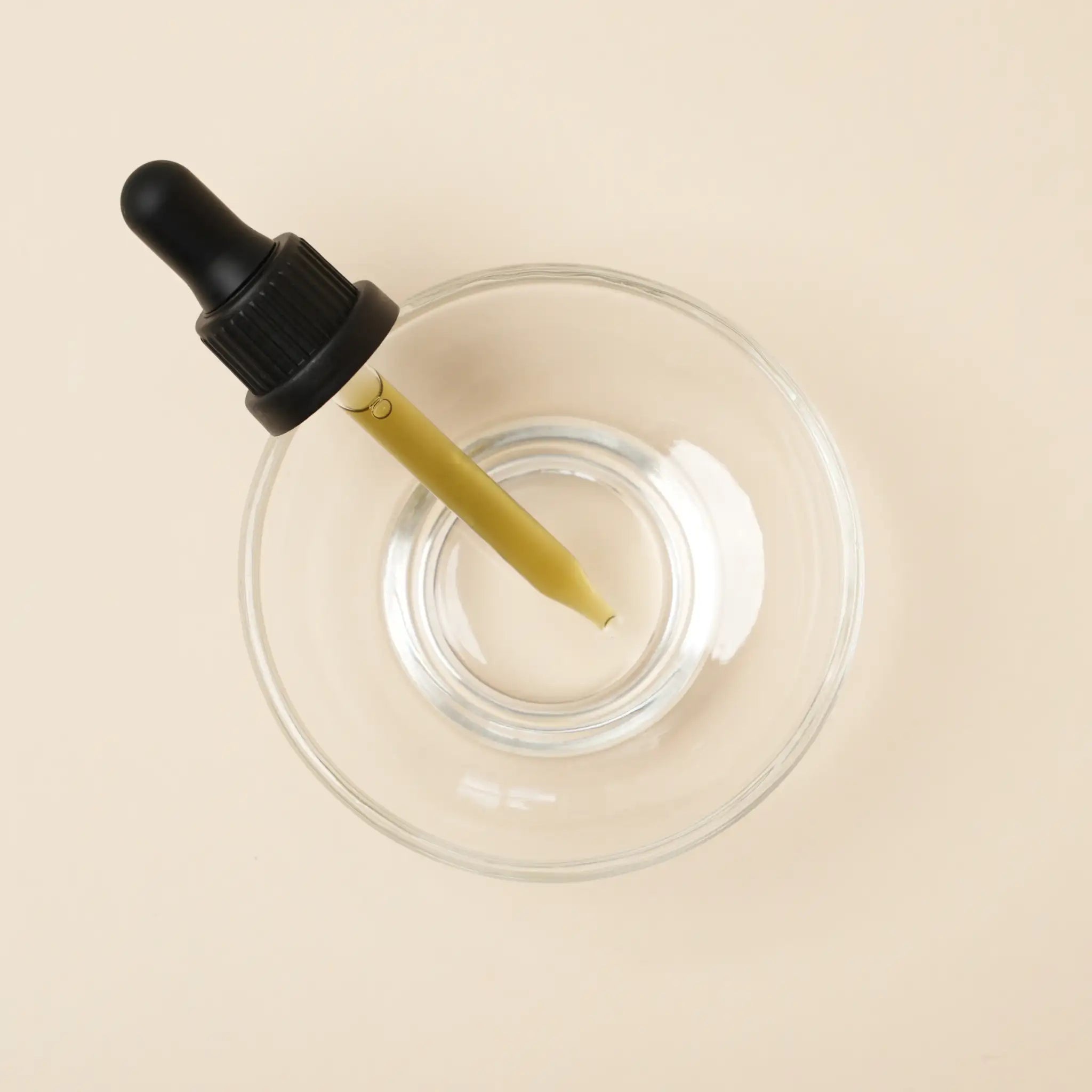 Andrographis: Liquid Herbal Extract